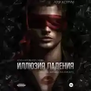 Постер книги Иллюзия падения