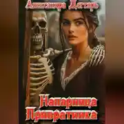 Постер книги Напарница Привратника