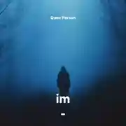 Постер книги im – mm regr aud 2