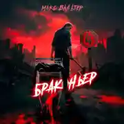 Постер книги Браконьер 4