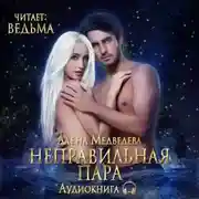 Постер книги Неправильная пара
