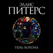 Постер книги Тень ворона