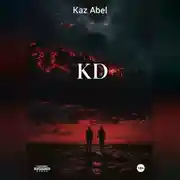 Постер книги KD