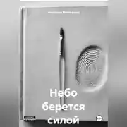 Постер книги Небо берется силой
