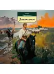 Дмитрий Каркошкин - Дикое поле
