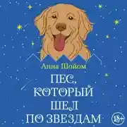 Постер книги Пес, который шел по звездам