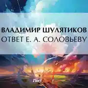 Постер книги Ответ Е. А. Соловьеву