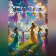 Постер книги Ветер в кармане: сказки-невидимки