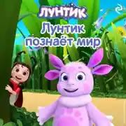 Постер книги Лунтик познаёт мир