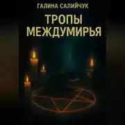 Постер книги Тропы Междумирья