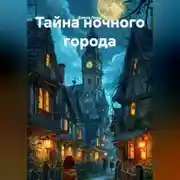 Постер книги Тайна ночного города