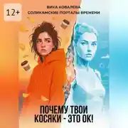 Постер книги Соликамские порталы времени