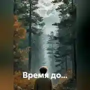 Постер книги Время до…
