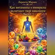 Постер книги Инструкция по Перепрошивке Вашей Вселенной (Часть 1)