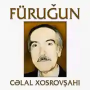 Постер книги Füruğun hekayəti