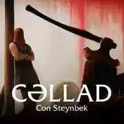 Постер книги Cəllad