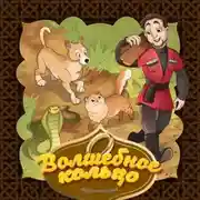 Постер книги Волшебное кольцо