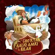 Постер книги Cho'rtan baliq amri bilan