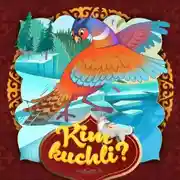 Постер книги Kim kuchli?