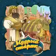 Постер книги Мудрый совет 