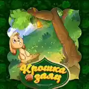 Постер книги Крошка заяц