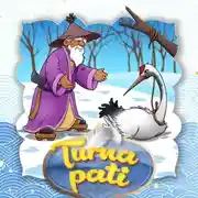 Постер книги Turna pati 
