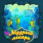 Постер книги Мудрый лекарь 