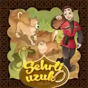 Постер книги Sehrli uzuk