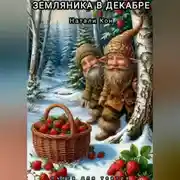 Постер книги Земляника в декабре