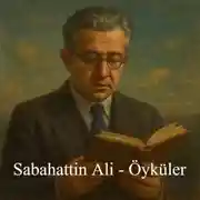 Постер книги Sabahattin Ali – Öyküler
