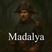 Постер книги Madalya