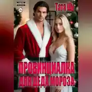 Постер книги Провинциалка для Деда Мороза