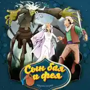 Постер книги Сын бая и фея 