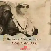 Постер книги Araba Sevdası