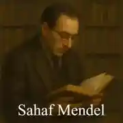 Постер книги Sahaf Mendel