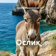 Постер книги Ослик