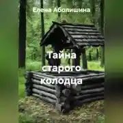 Постер книги Тайна старого колодца