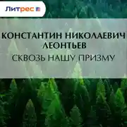 Постер книги Сквозь нашу призму