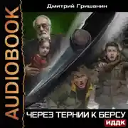 Постер книги Берс – 4. Через тернии к берсу