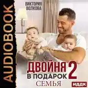 Постер книги Двойня в подарок. Книга 2. Семья