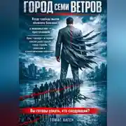Постер книги Город семи ветров