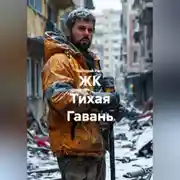 Постер книги ЖК Тихая Гавань