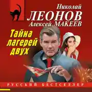 Постер книги Тайна двух лагерей