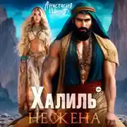 Постер книги Халиль. Не жена