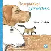 Постер книги Невероятное путешествие