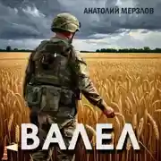Постер книги Валел