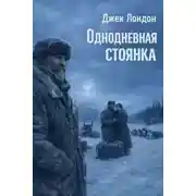 Постер книги Однодневная стоянка