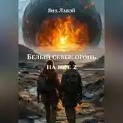 Постер книги белый север: огонь на юге 2