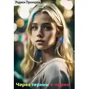 Постер книги Через тернии в порно