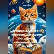 Постер книги ИСТОРИЯ 2 ИЗ СЕРИИ КОРОТКИХ РАССКАЗОВ: КОТ РЫЖИЙ, ОБЫКНОВЕННЫЙ – ВАСЬКА